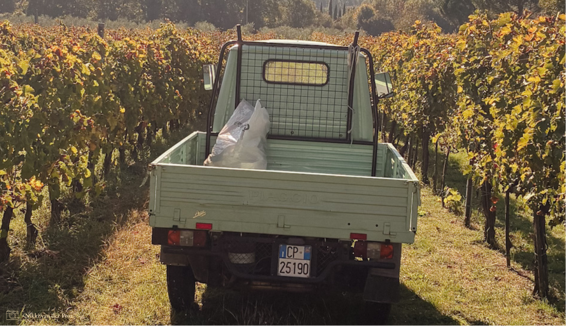 FOOD STORY ✧ Beyond the bottle