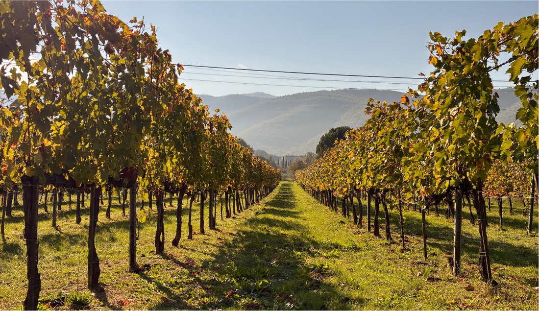 FOOD STORY ✧ Seasonality is key