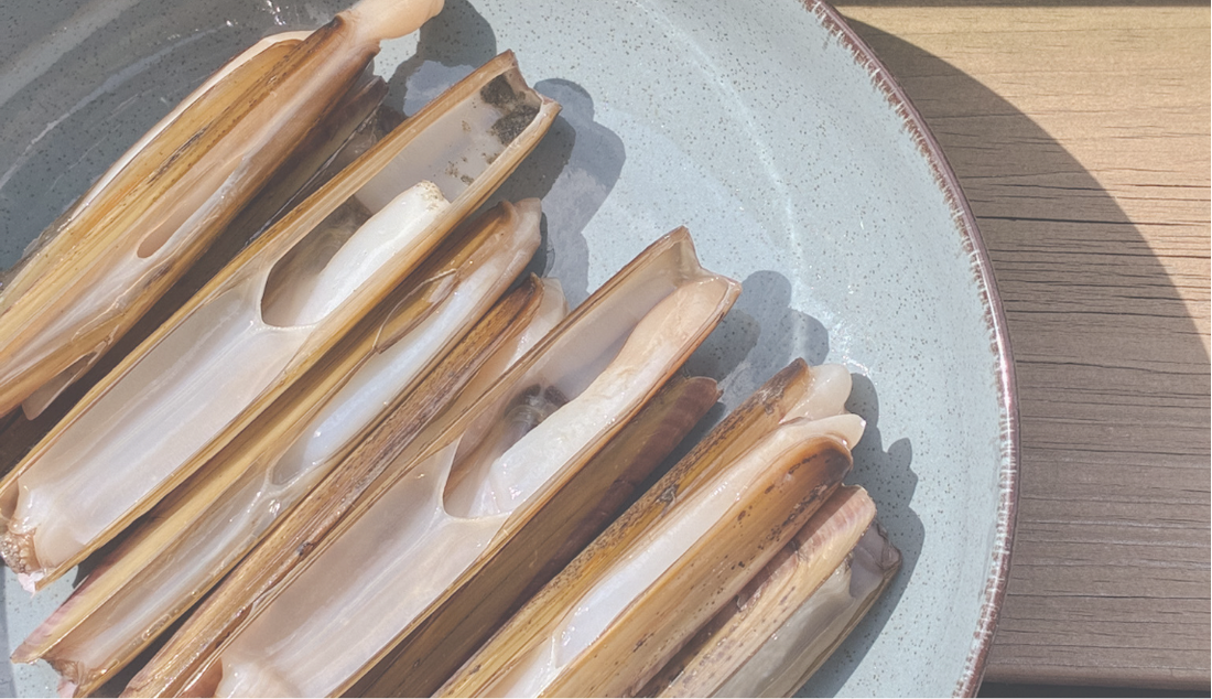 RECIPE ✧ Razor clams with lamb's ears and pine nuts