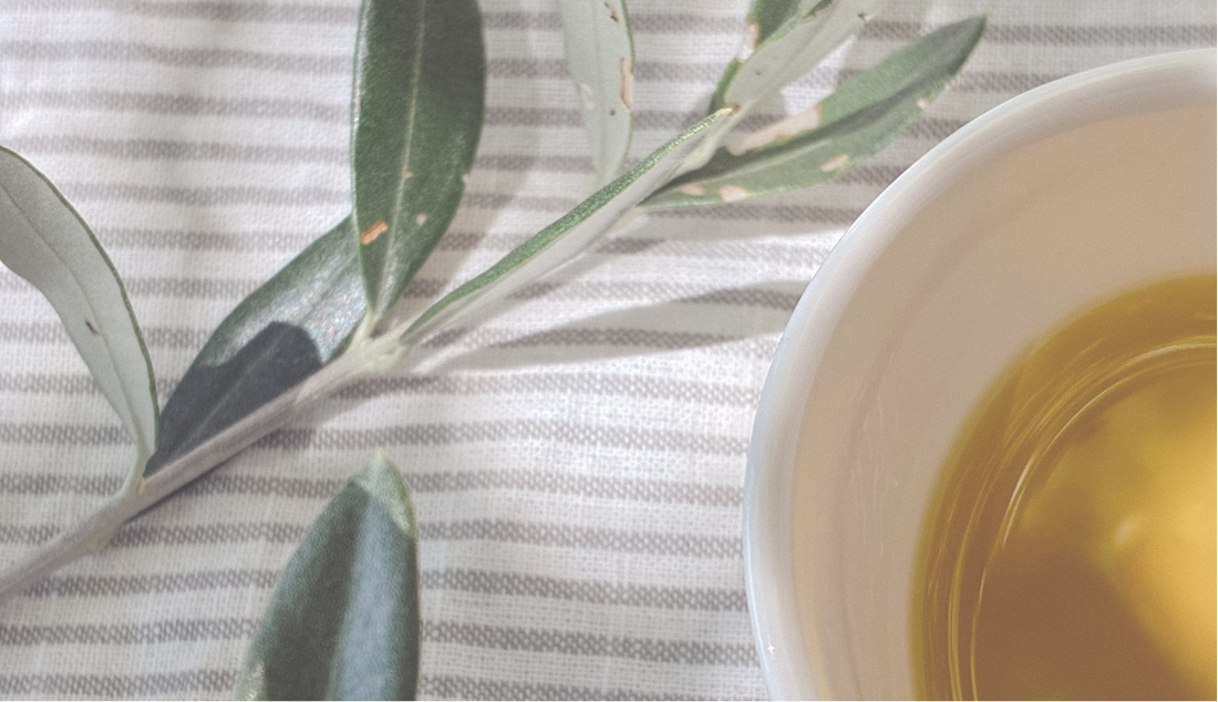 The Honest Kitchen Guide № 1: World of olive oil