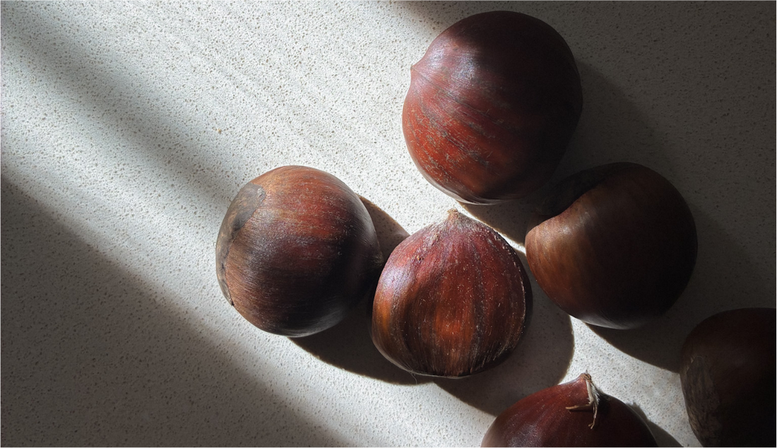 RECIPE ✧ Castagnaccio (Chestnut pie)