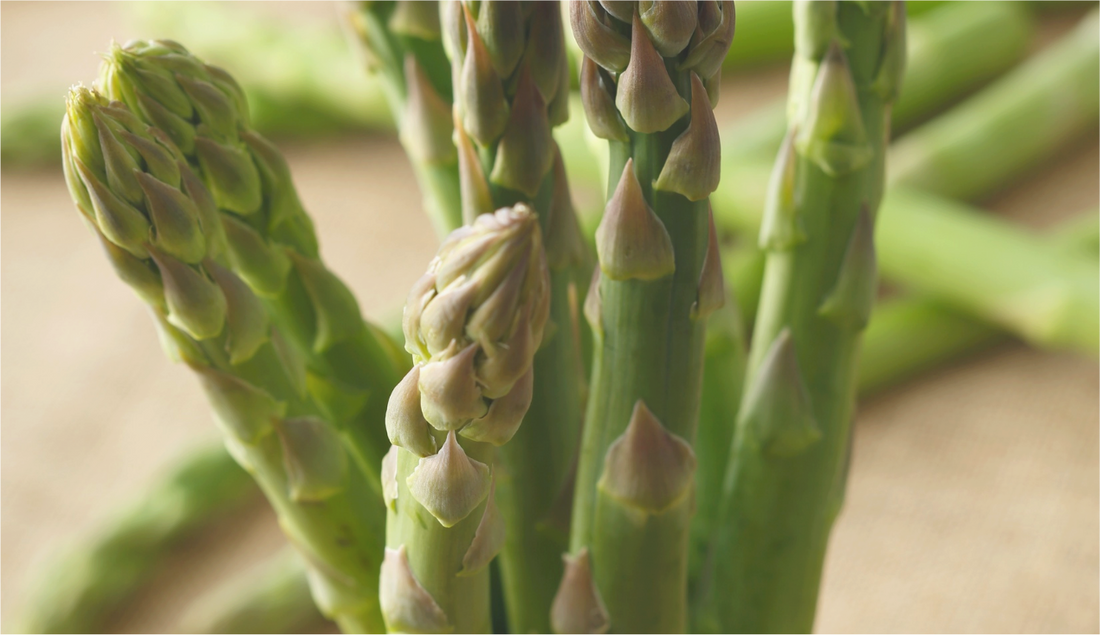 RECIPE ✧ Fennel and asparagus with honey