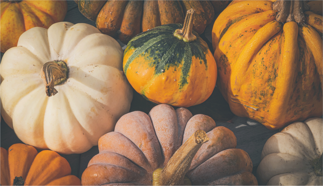 RECIPE ✧ Vellutata di zucca