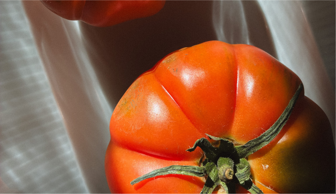 RECIPE ✧ Ricotta e pomodori crostini