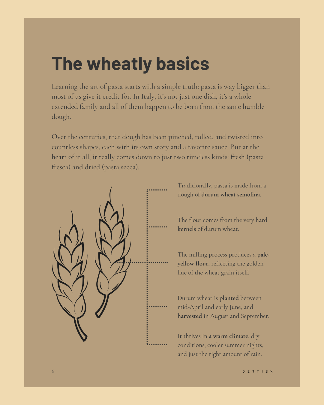 The Honest Kitchen Guide № 2: The art of pasta