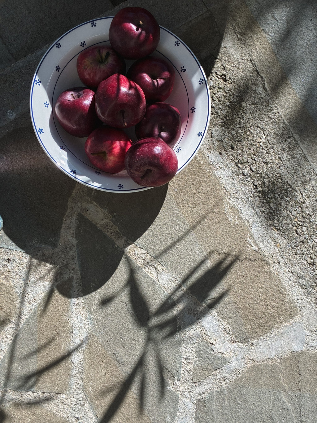 Vintage Bowl with a blue floral pattern