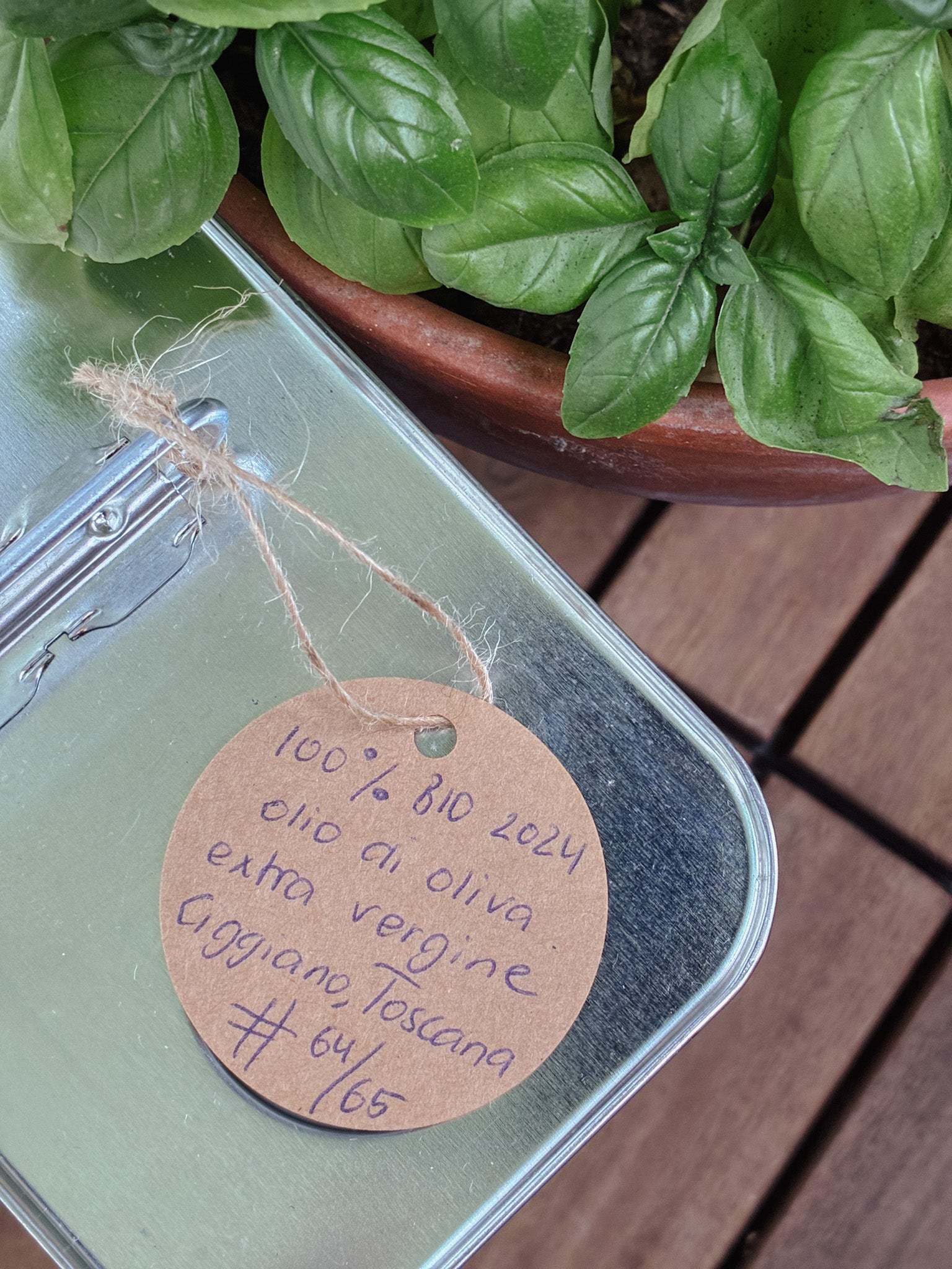 The Honest Kitchen Guide № 1: World of olive oil